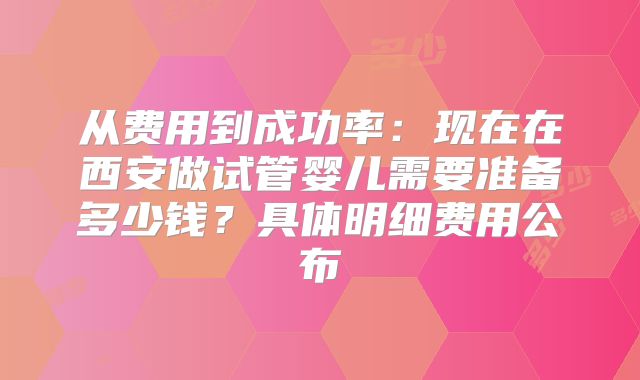 从费用到成功率:现在在西安做试管婴儿需要准备多少钱?具体明细费用公布