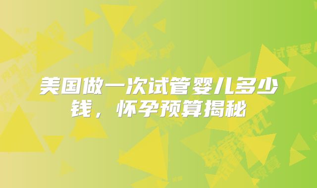 美国做一次试管婴儿多少钱，怀孕预算揭秘