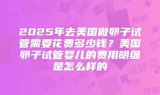 2025年去美国做卵子试管需要花费多少钱?美国卵子试管婴儿的费用明细是怎么样的