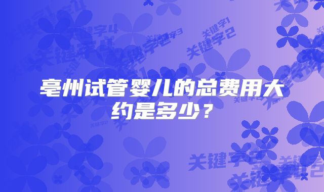 亳州试管婴儿的总费用大约是多少？