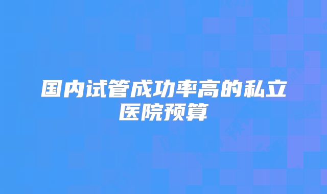国内试管成功率高的私立医院预算