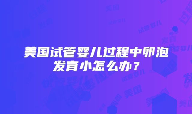 美国试管婴儿过程中卵泡发育小怎么办？