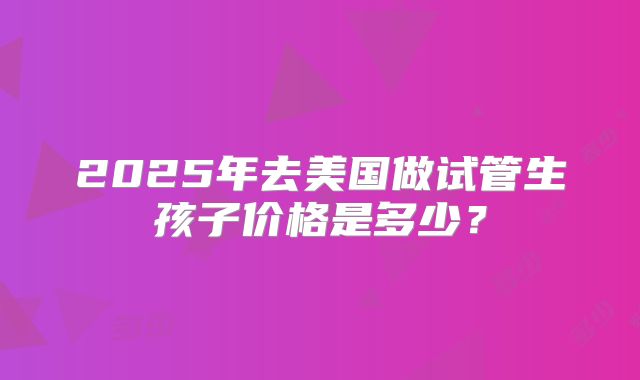 2025年去美国做试管生孩子价格是多少？