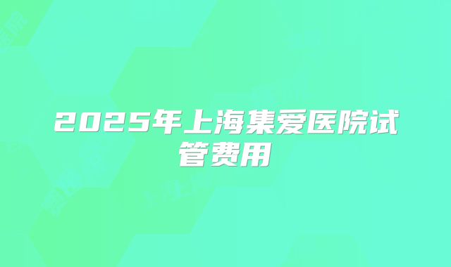 2025年上海集爱医院试管费用