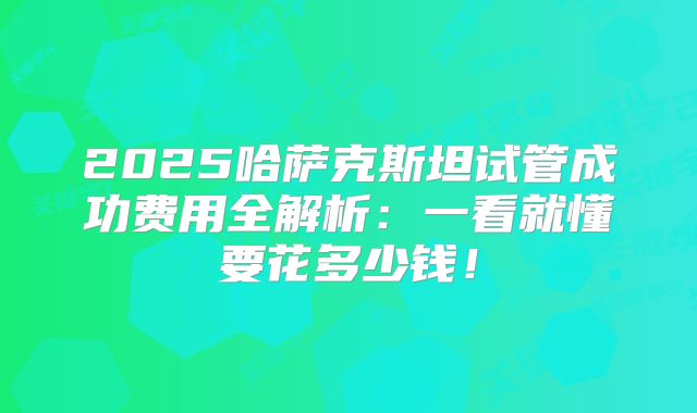 2025哈萨克斯坦试管成功费用全解析：一看就懂要花多少钱！