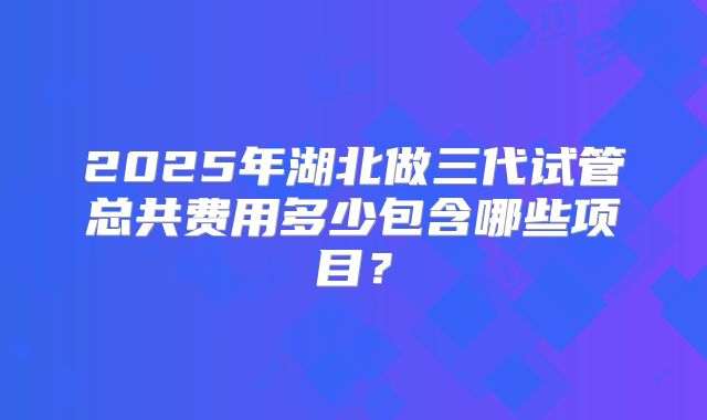 2025年湖北做三代试管总共费用多少包含哪些项目？