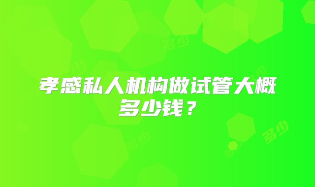 孝感私人机构做试管大概多少钱？