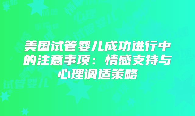 美国试管婴儿成功进行中的注意事项：情感支持与心理调适策略