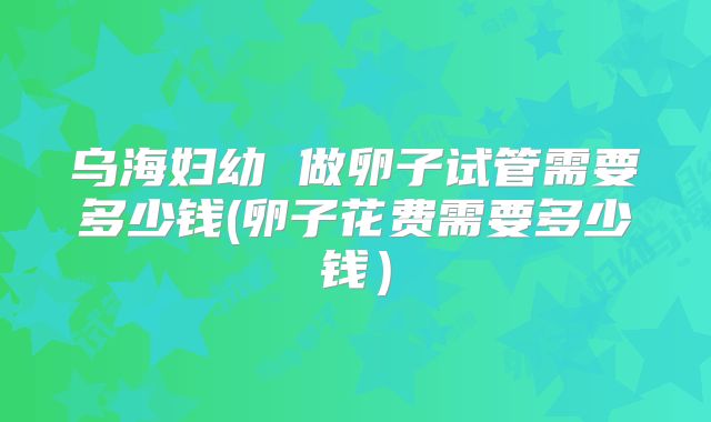 乌海妇幼 做卵子试管需要多少钱(卵子花费需要多少钱）