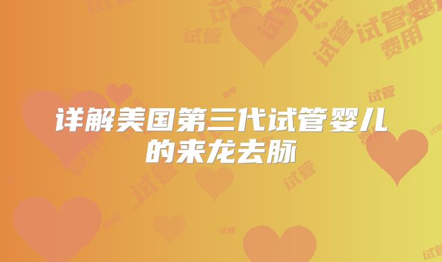 详解美国第三代试管婴儿的来龙去脉