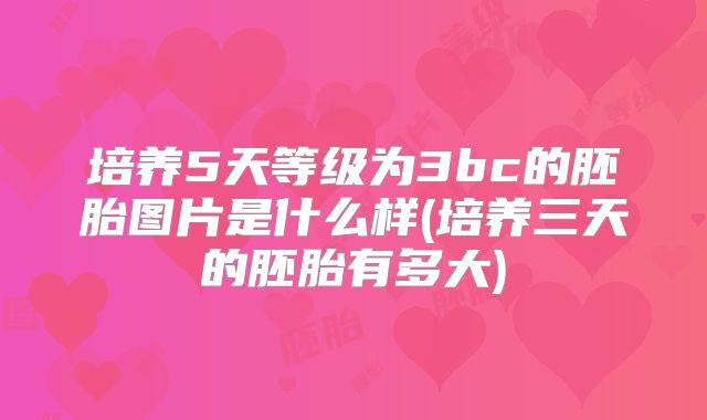 培养5天等级为3bc的胚胎图片是什么样(培养三天的胚胎有多大)