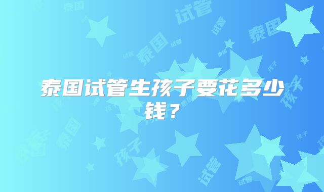 泰国试管生孩子要花多少钱？