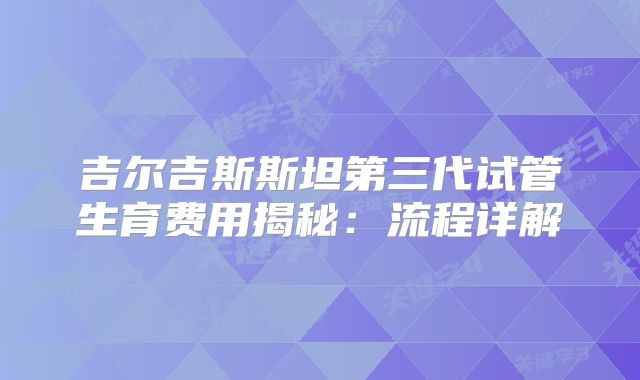 吉尔吉斯斯坦第三代试管生育费用揭秘：流程详解