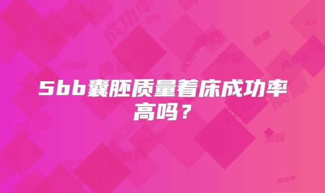 5bb囊胚质量着床成功率高吗?