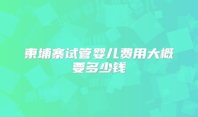 柬埔寨试管婴儿费用大概要多少钱