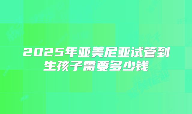 2025年亚美尼亚试管到生孩子需要多少钱