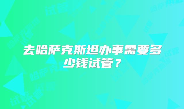 去哈萨克斯坦办事需要多少钱试管？