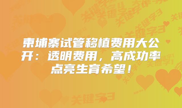 柬埔寨试管移植费用大公开：透明费用，高成功率点亮生育希望！