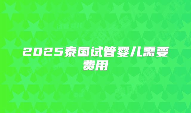 2025泰国试管婴儿需要费用
