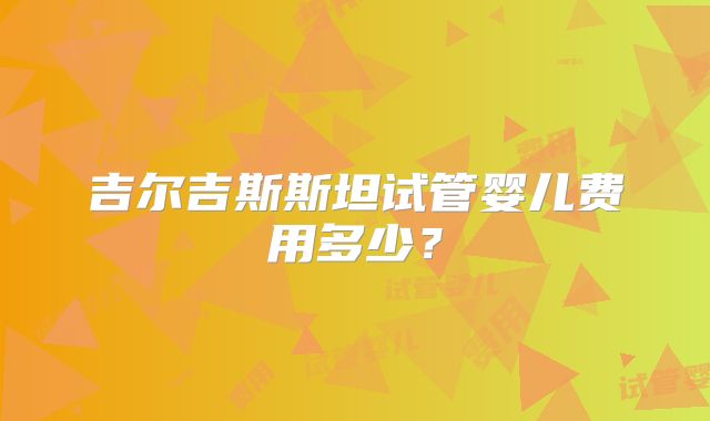 吉尔吉斯斯坦试管婴儿费用多少？