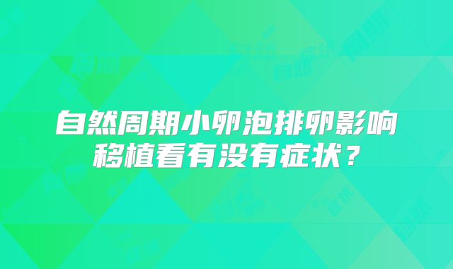自然周期小卵泡排卵影响移植看有没有症状?