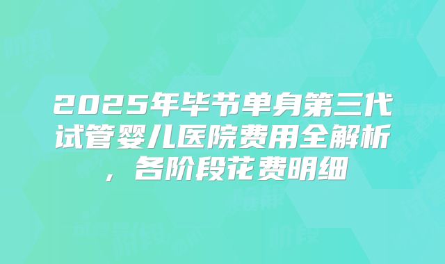 2025年毕节单身第三代试管婴儿医院费用全解析,各阶段花费明细