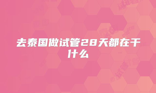 去泰国做试管28天都在干什么