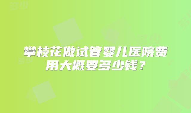 攀枝花做试管婴儿医院费用大概要多少钱?