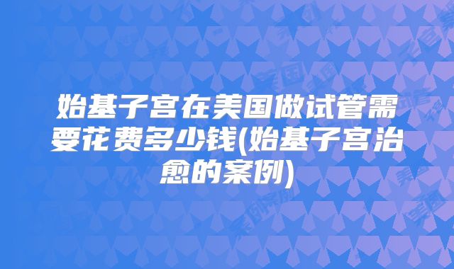 始基子宫在美国做试管需要花费多少钱(始基子宫治愈的案例)