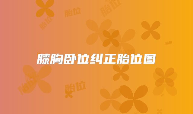 膝胸卧位纠正胎位图