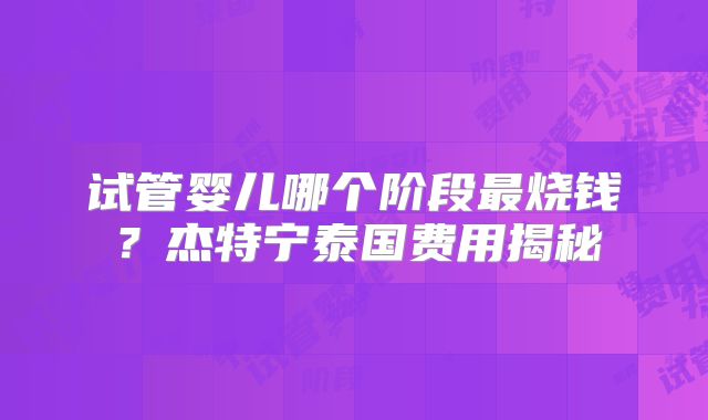 试管婴儿哪个阶段最烧钱？杰特宁泰国费用揭秘