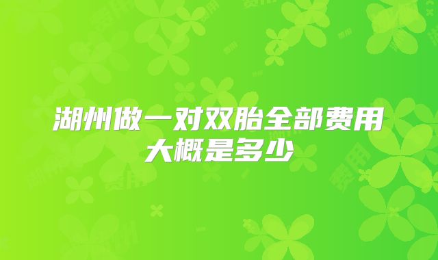 湖州做一对双胎全部费用大概是多少