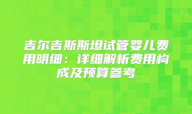 吉尔吉斯斯坦试管婴儿费用明细：详细解析费用构成及预算参考