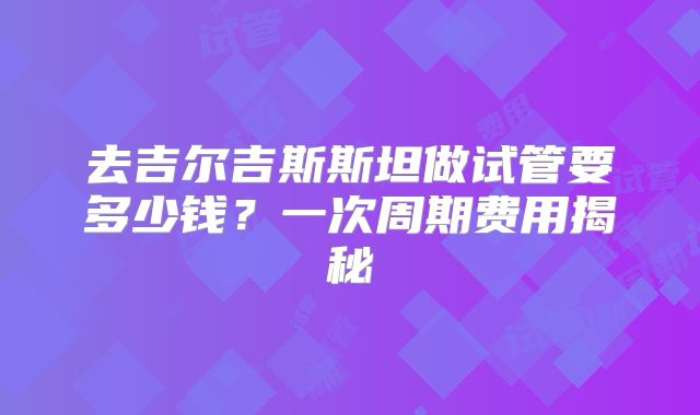 去吉尔吉斯斯坦做试管要多少钱？一次周期费用揭秘
