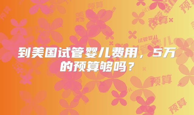 到美国试管婴儿费用，5万的预算够吗？