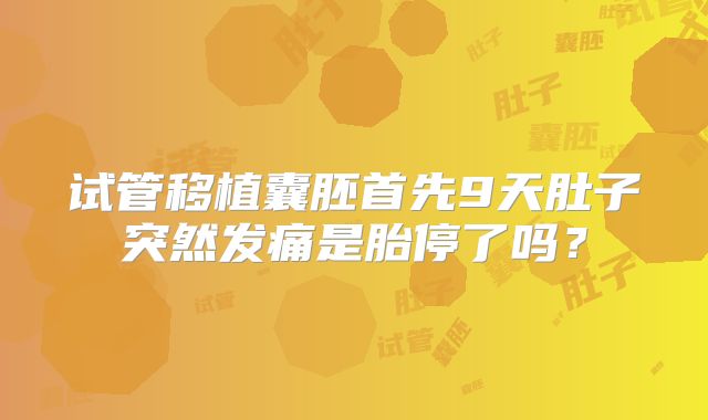 试管移植囊胚首先9天肚子突然发痛是胎停了吗？