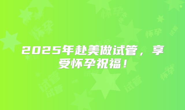 2025年赴美做试管，享受怀孕祝福！