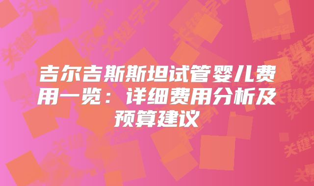 吉尔吉斯斯坦试管婴儿费用一览：详细费用分析及预算建议