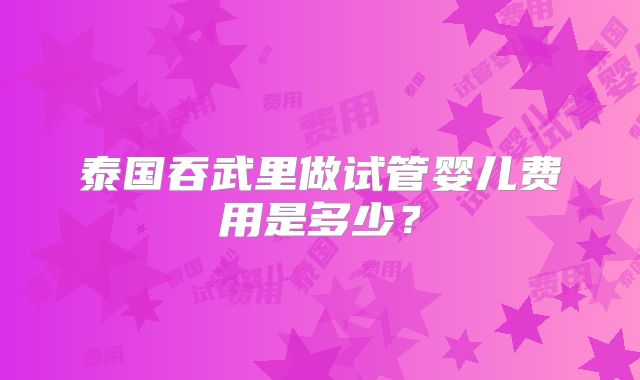 泰国吞武里做试管婴儿费用是多少？