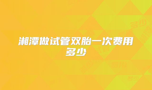 湘潭做试管双胎一次费用多少