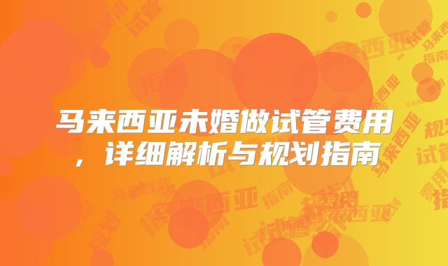 马来西亚未婚做试管费用，详细解析与规划指南