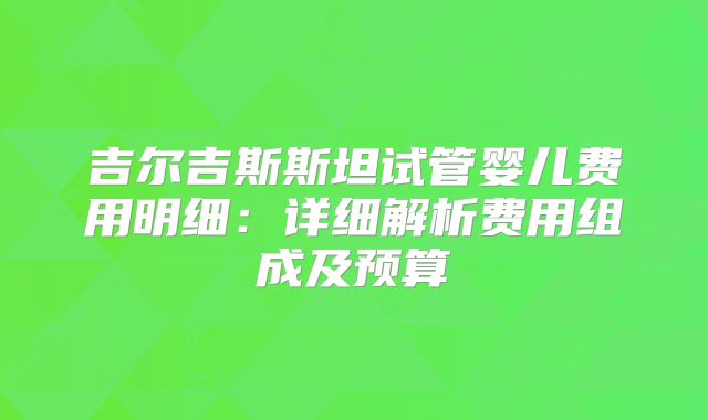 吉尔吉斯斯坦试管婴儿费用明细：详细解析费用组成及预算