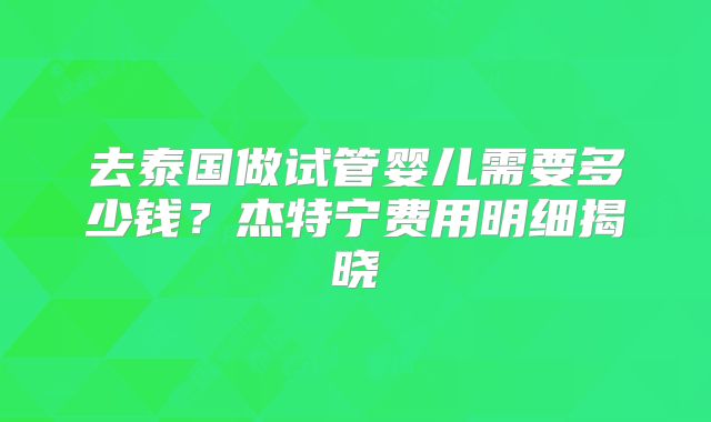 去泰国做试管婴儿需要多少钱?杰特宁费用明细揭晓