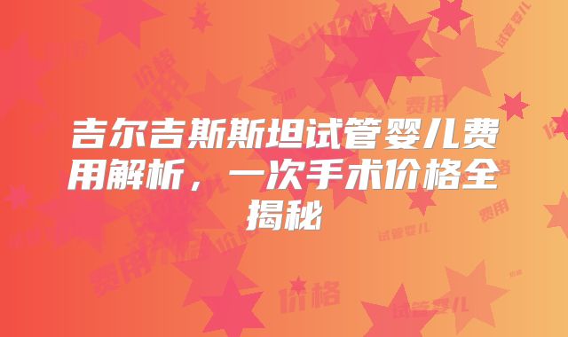 吉尔吉斯斯坦试管婴儿费用解析，一次手术价格全揭秘