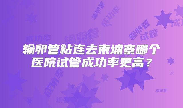 输卵管粘连去柬埔寨哪个医院试管成功率更高?