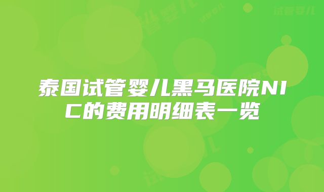 泰国试管婴儿黑马医院NIC的费用明细表一览