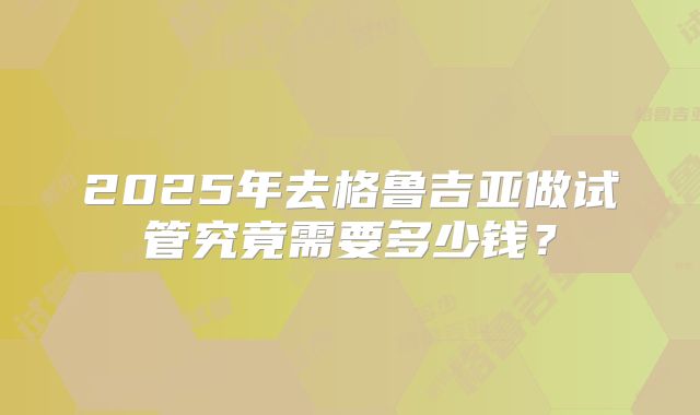 2025年去格鲁吉亚做试管究竟需要多少钱？