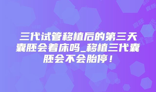 三代试管移植后的第三天囊胚会着床吗_移植三代囊胚会不会胎停！