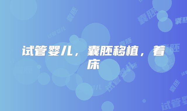 试管婴儿，囊胚移植，着床