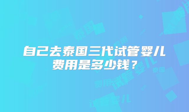 自己去泰国三代试管婴儿费用是多少钱？